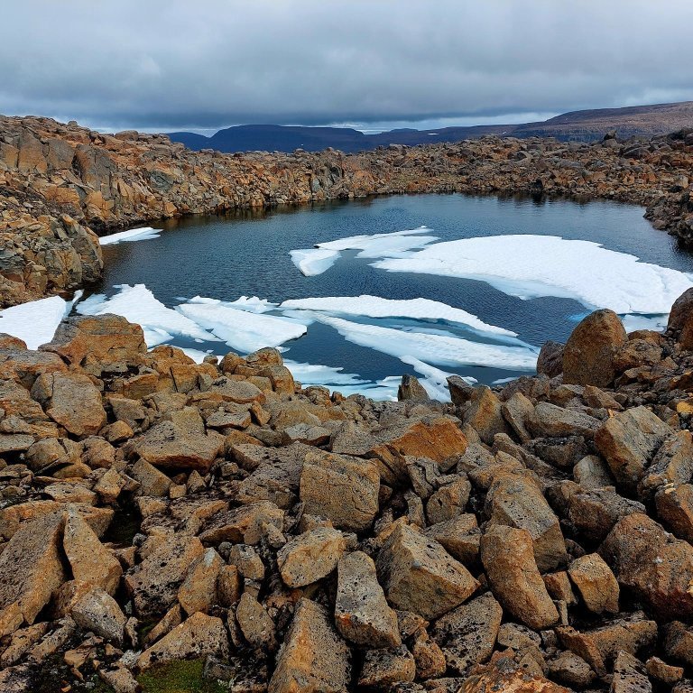 454204412_10229491545851202_4221010134049466920_n